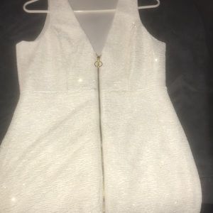 Sparkly Body Con Mini Dress